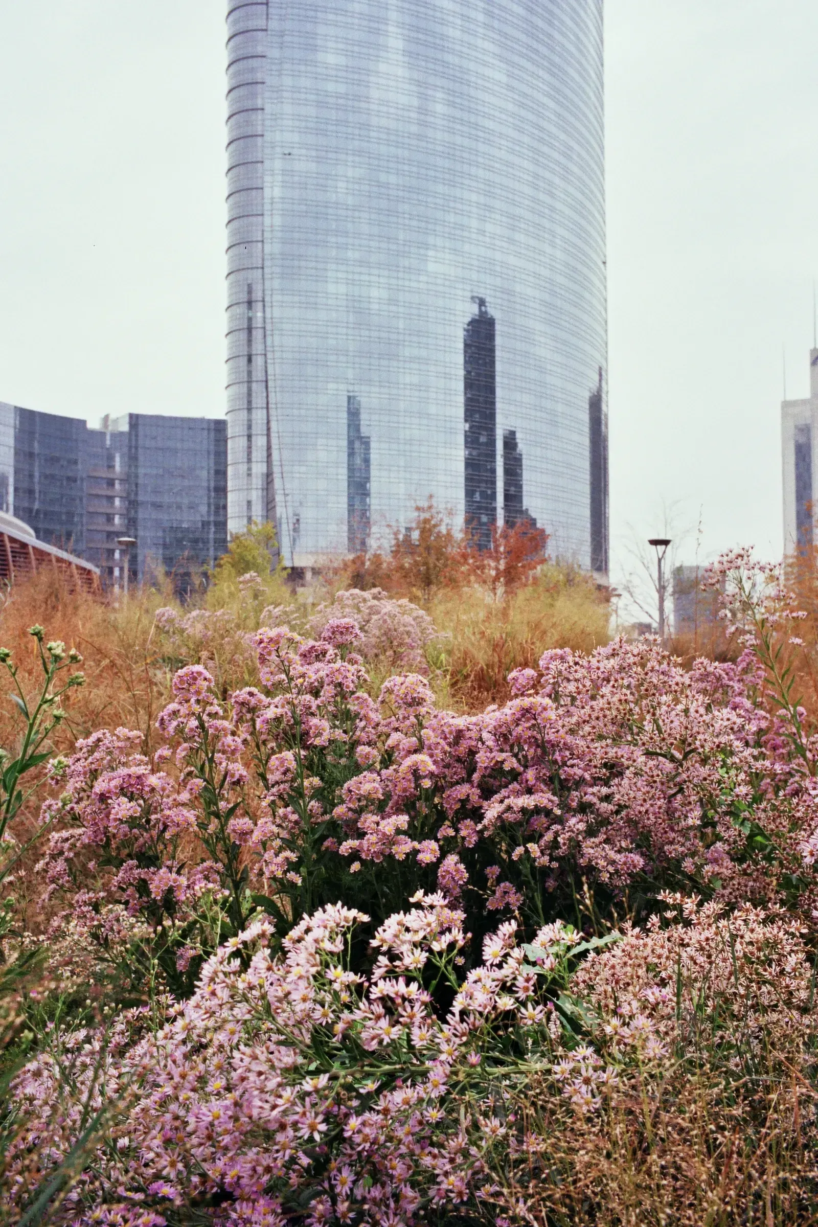 img immobili a milano