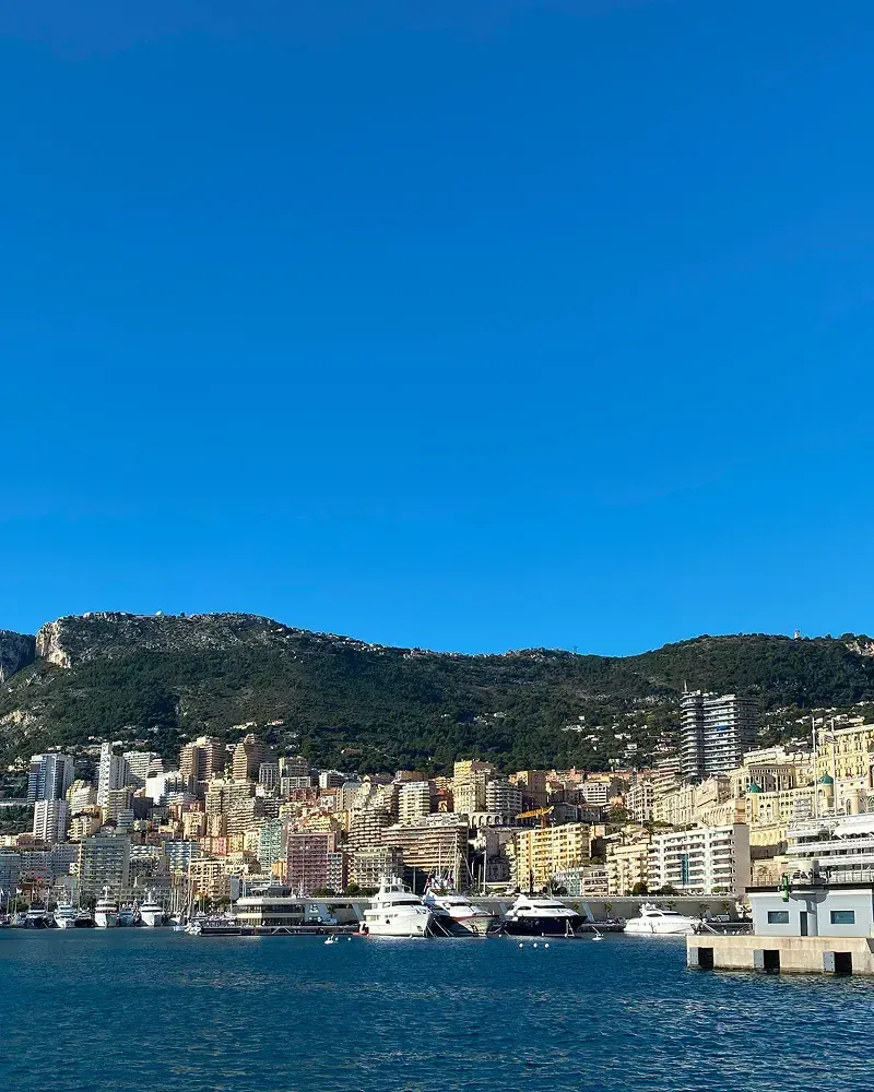 Property cover image for sale in Monaco
